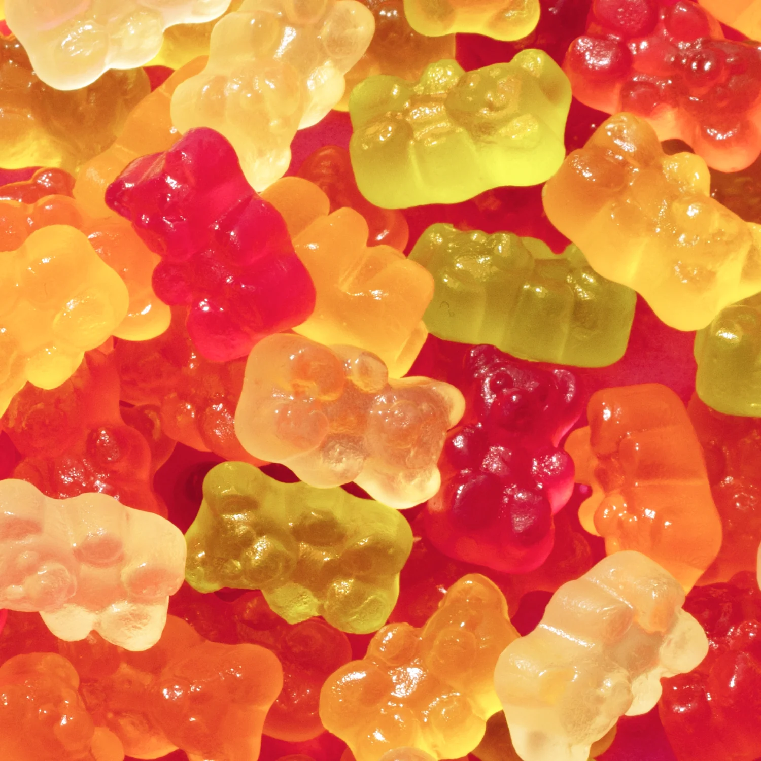 Gummy Bears - Image 11